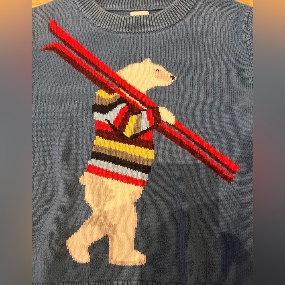GAP Blue Sweater with Bear and Ski Design size 4T